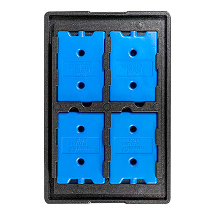 Cooling Cover with Set of 4 Cooling Elements | Thermo Future Box | 1/1 GN | 60 x 40 x H6 cm 1