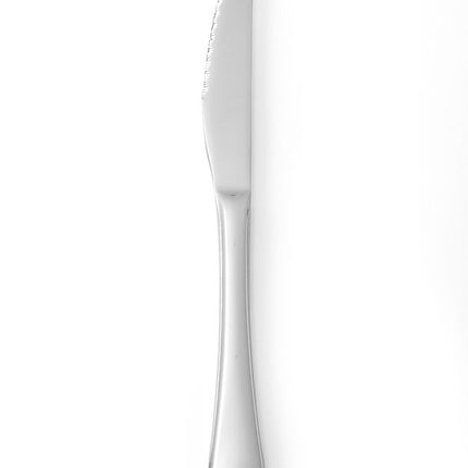Steak Knife 215mm | HENDI Profi Line