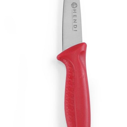 Paring Knives Set with Color-Coded Handles | HENDI | 185mm Length 2