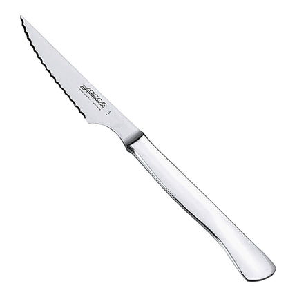 Steak Knife | Arcos | Micro Serrated Blade | One-Piece Handle | 22 cm 1