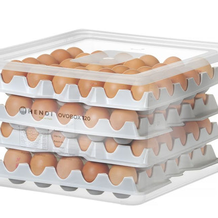 Egg Container GN 2/3 with Trays 18L | HENDI OVOBOX 120