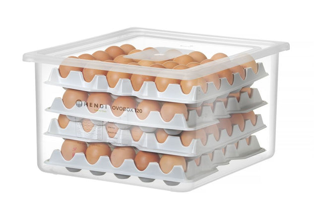 Egg Container GN 2/3 with Trays 18L | HENDI OVOBOX 120