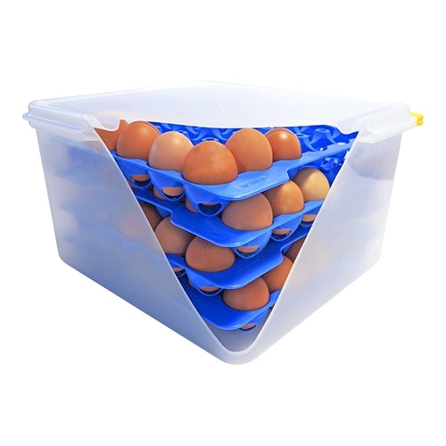 Araven Airtight Egg Container | Set of 4 Egg Holders Included | 19 L | 2/3 GN 1
