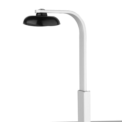 Shelf-Mounted Bottle Holder 39x15cm | Olympia | Wall or Table Installation 5