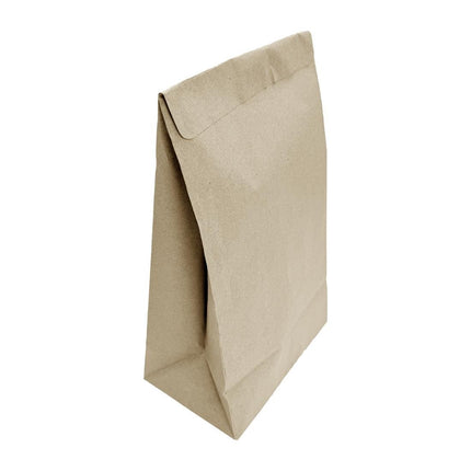Fiesta Medium Recyclable Resealable Takeaway Bags 250 pcs