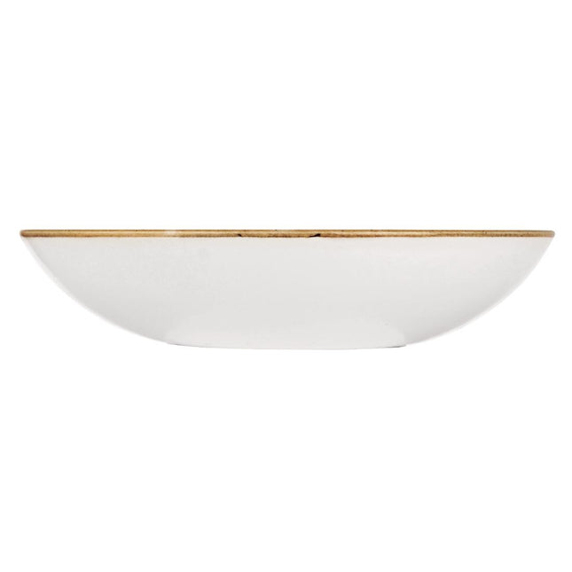 Evolve Coupe Bowl 24.8cm Duck Egg Blue | Churchill Stonecast | 12 Pieces 2