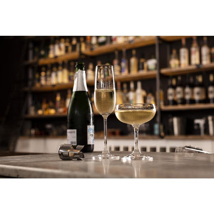 Champagne Glasses 21.5cl | Olympia Modale 4