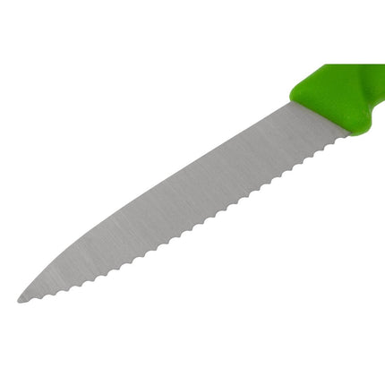 Serrated Paring Knife 8cm | Victorinox | Green Handle 4