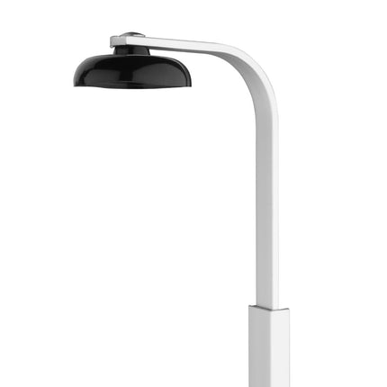Wall-Mounted Bottle Holder for One Large Bottle | Olympia | Easy Installation 6