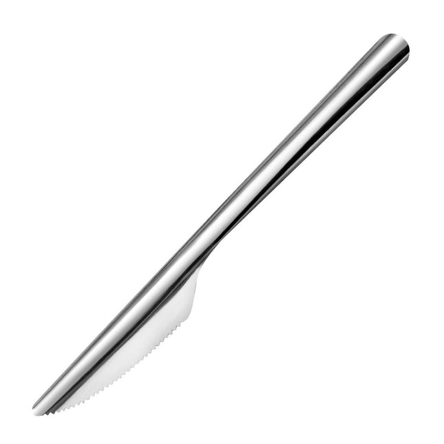 Slim Stainless Steel Table Knives | Amefa | 240 Pieces