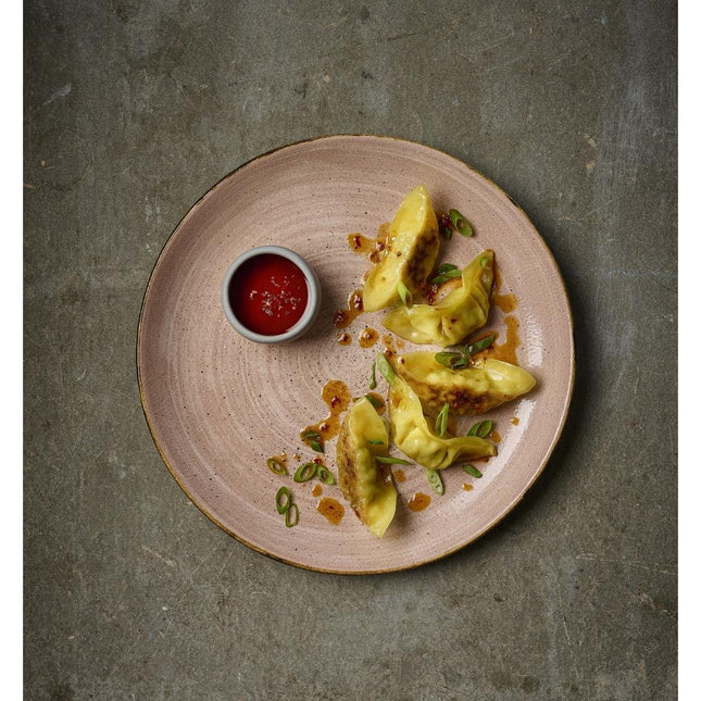 Stonecast Raw Terracotta Evolve Coupe Plate 260mm | Churchill 2
