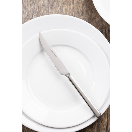 Stainless Steel Steak and Pizza Knives (12 pcs) | Olympia 4