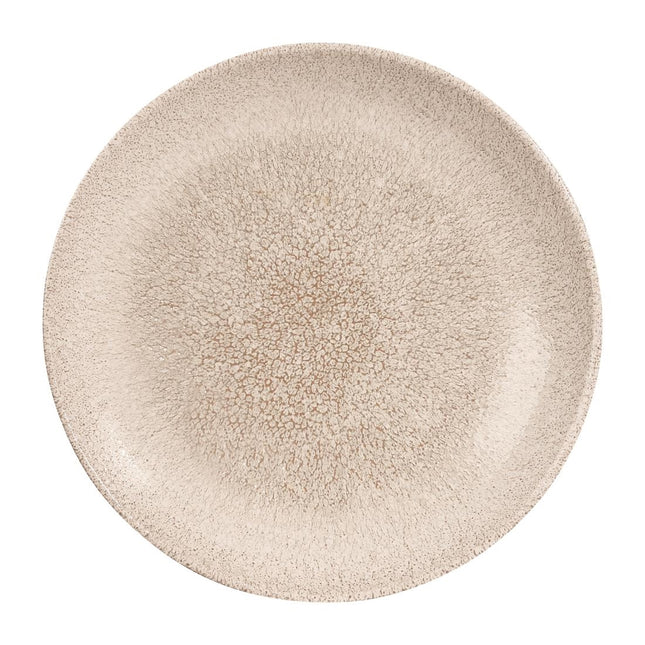 Raku Agate Grey Evolve Coupe Bowl 24.8 cm | Churchill 2