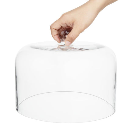 Glass Display Dome 240x190mm | Olympia 3