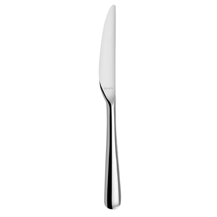 Table Knife 15.5 cm 18/10 Stainless Steel | Amefa Opus