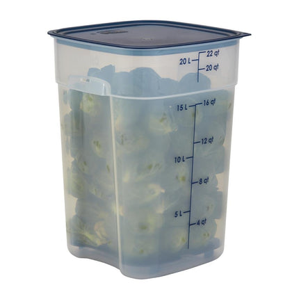 FreshPro Blue Drain Rack 235 x 235 mm | Cambro 5