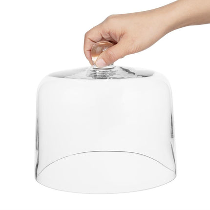 Glass Display Dome 200x170mm | Olympia 3