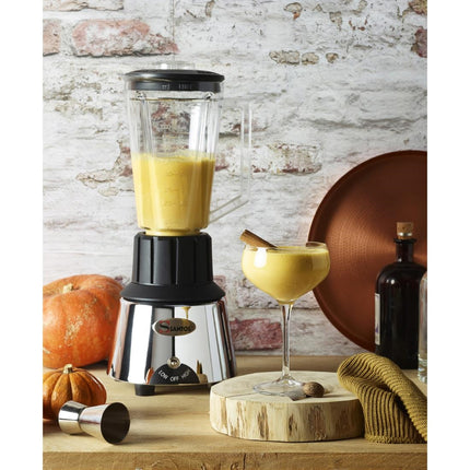 Bar Blender Chrome with Two Speeds | Santos 33 4
