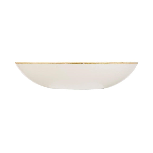 Evolve Coupe Bowl Spiced Orange Stonecast | Churchill | 24.8cm 2