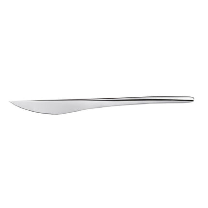 18/10 Stainless Steel Steak Knife with Flat Handle | Comas 2