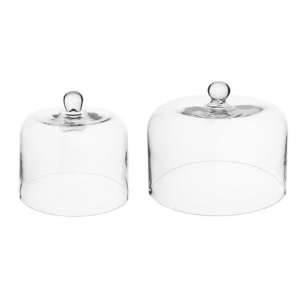 Glass Display Dome 200x170mm | Olympia 7