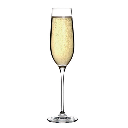 Olympia Campana 260ml Champagne Glasses Set of 6 2