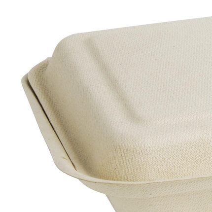 Compostable Bagasse Food Containers 2 Compartments 253mm Natural | Fiesta 4