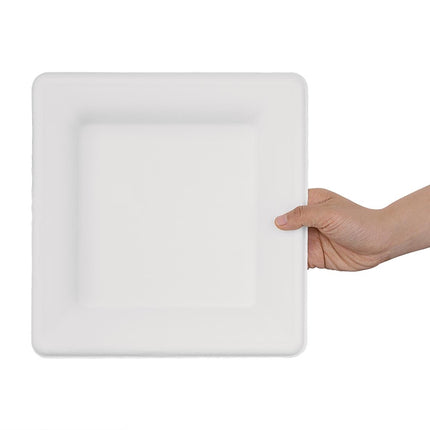 Compostable Bagasse Square Plates 261mm | Fiesta 5