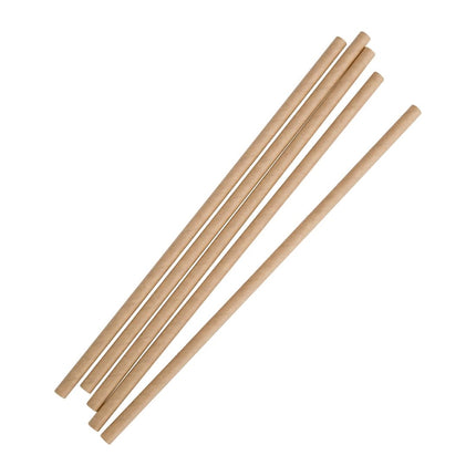 Compostable Kraft Paper Straws | Fiesta 2