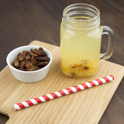 Compostable Red/White Striped Paper Smoothie Straws 21cm | Fiesta 2