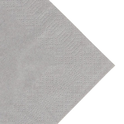 Compostable Lunch Napkins Grey 33cm | Duni | 1000 Pieces 2