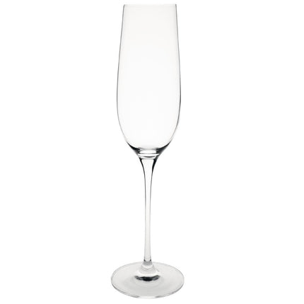 Olympia Campana 260ml Champagne Glasses Set of 6