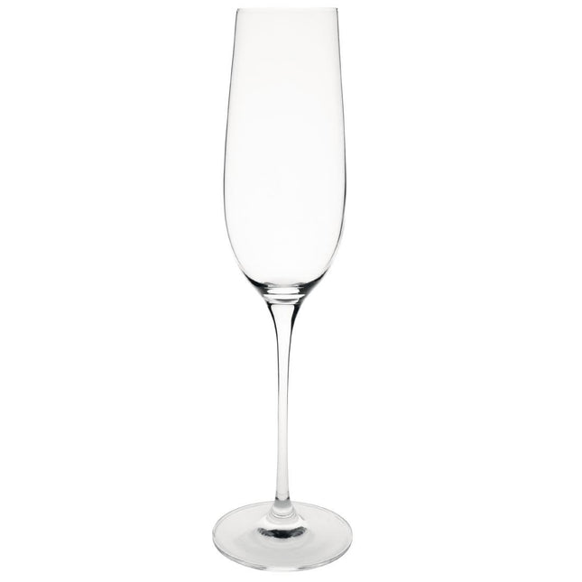 Olympia Campana 260ml Champagne Glasses Set of 6
