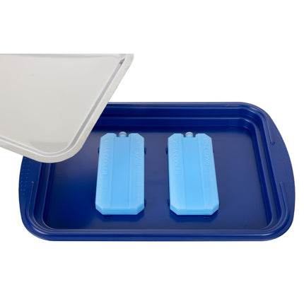 APS Stainless Steel and Plastic Chilled Serving Platter with Lid and Coolers 4