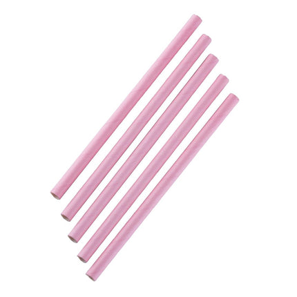Compostable Smoothie Straws Pink | Fiesta 2