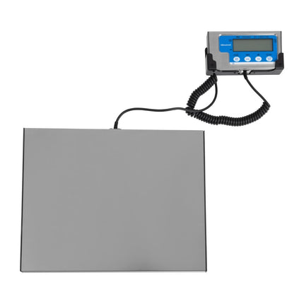 60kg Digital Scale | Salter 7