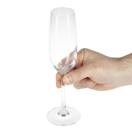 Champagne Glasses 21.5cl | Olympia Modale 3