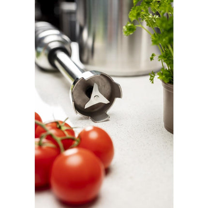 Variable Speed Hand Blender 500 mm | Buffalo 7
