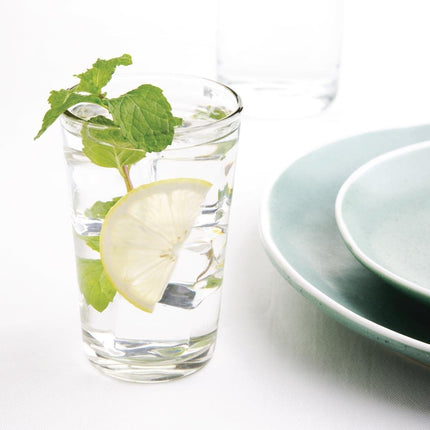 Essentials Tumbler Glass 230ml | Nisbets 2