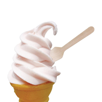 Compostable Wooden Ice Cream Spoons | Fiesta | 100 Pieces 4