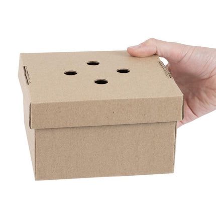 Compostable Foldable Hamburger Boxes | Fiesta 5