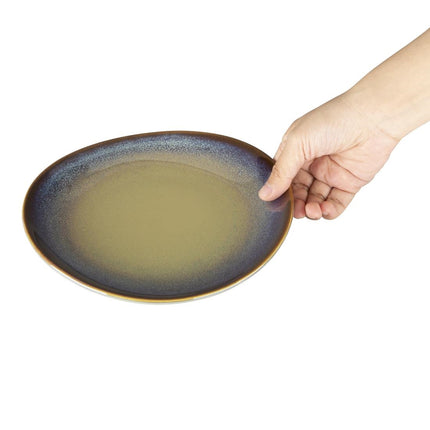 Coupe Plates Aubergine Reactive Glaze 205mm | Olympia Birch 4