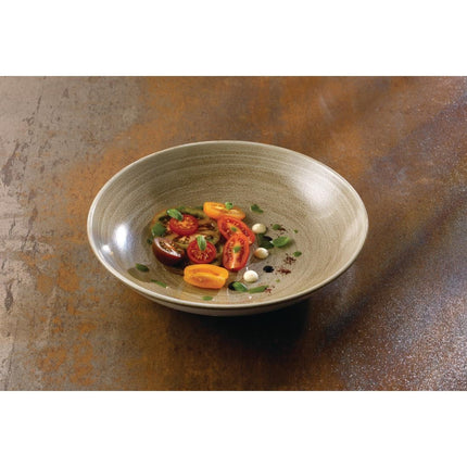 Stonecast Patina Antique Taupe Coupe Evolve Bowl 32.4cm | Churchill 3