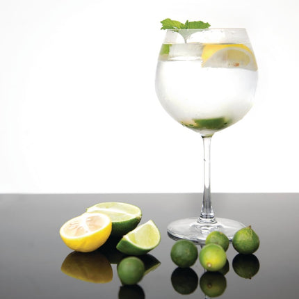 Crystal Gin & Tonic Glasses 645ml | Olympia Bar Collection 8