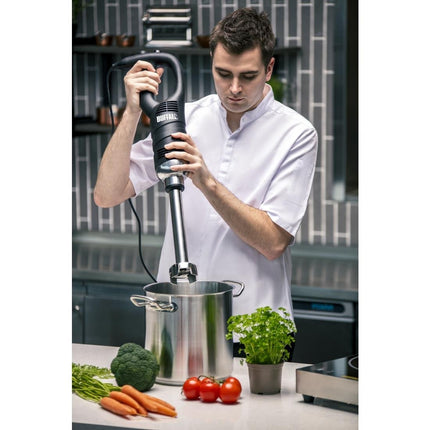 Variable Speed Hand Blender 400 mm | Buffalo 6