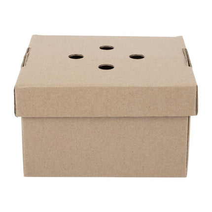 Compostable Foldable Hamburger Boxes | Fiesta 2