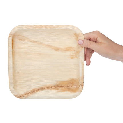 Compostable Square Palm Leaf Plates 200mm | Fiesta 7