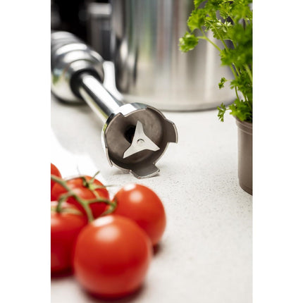 Variable Speed Hand Blender 300 mm | Buffalo 6
