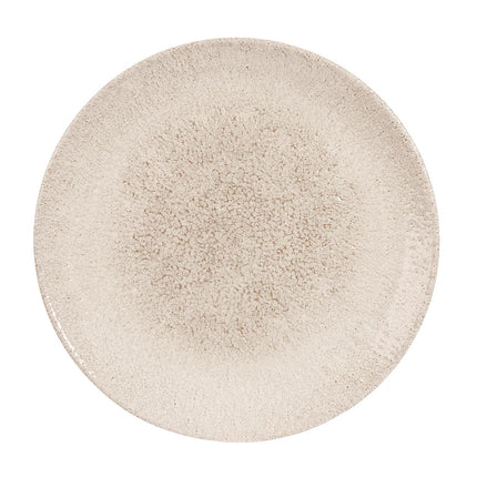 Raku Agate Grey Evolve Coupe Plate 26 cm | Churchill