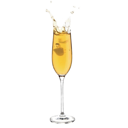 Olympia Campana 260ml Champagne Glasses Set of 6 3